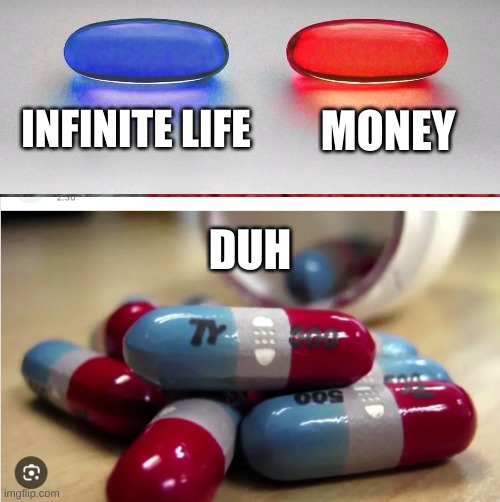 why did no one think of this? | INFINITE LIFE; MONEY; DUH | image tagged in bruh moment,cheetah | made w/ Imgflip meme maker