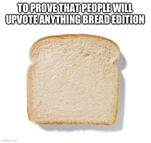 A to prove people will upvote anything meme but it’s bread | TO PROVE THAT PEOPLE WILL UPVOTE ANYTHING BREAD EDITION | image tagged in to prove people will upvote anything | made w/ Imgflip meme maker