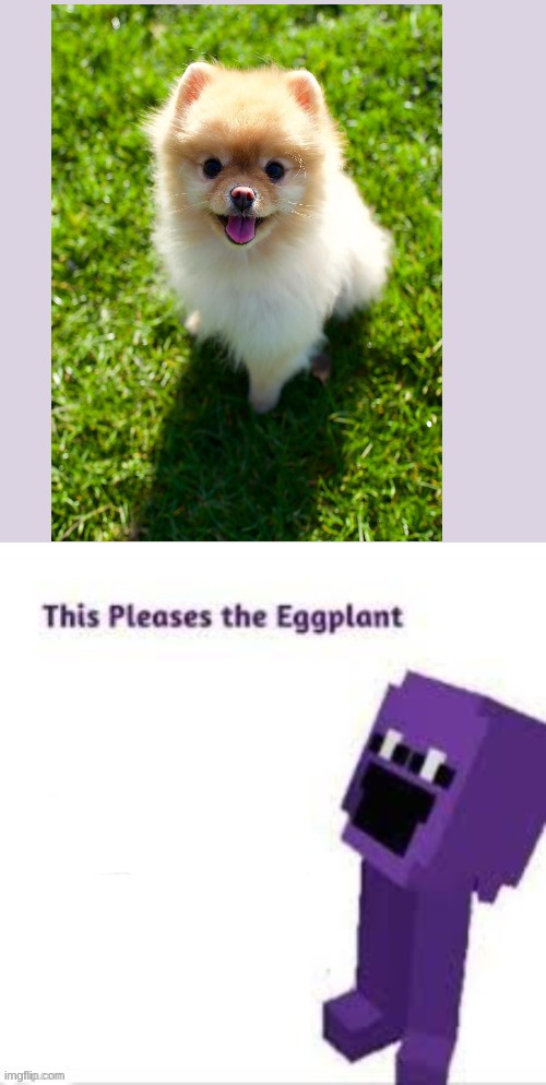 The Puppy :D | image tagged in this pleases the eggplant | made w/ Imgflip meme maker