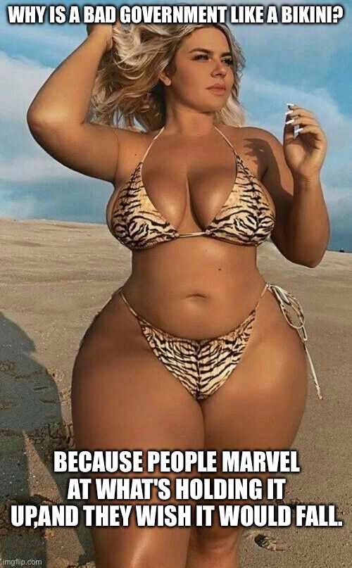 Mmmm | WHY IS A BAD GOVERNMENT LIKE A BIKINI? BECAUSE PEOPLE MARVEL AT WHAT'S HOLDING IT UP,AND THEY WISH IT WOULD FALL. | image tagged in big boobs | made w/ Imgflip meme maker