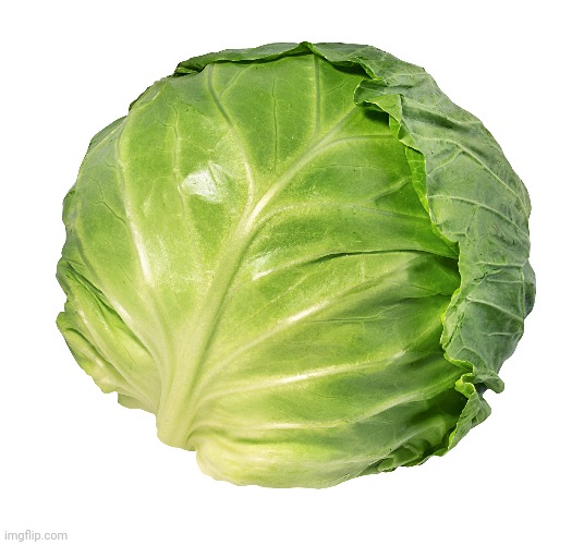 Yummy cabbage | made w/ Imgflip meme maker