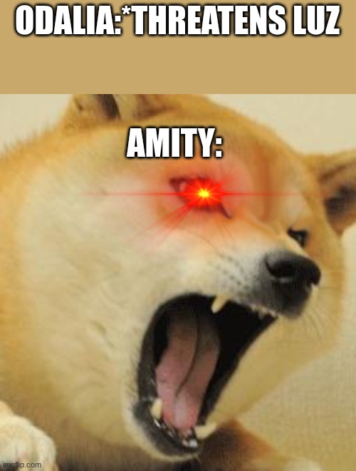this is why we don't mess with luz | ODALIA:*THREATENS LUZ; AMITY: | image tagged in angry doge 2,the owl house | made w/ Imgflip meme maker
