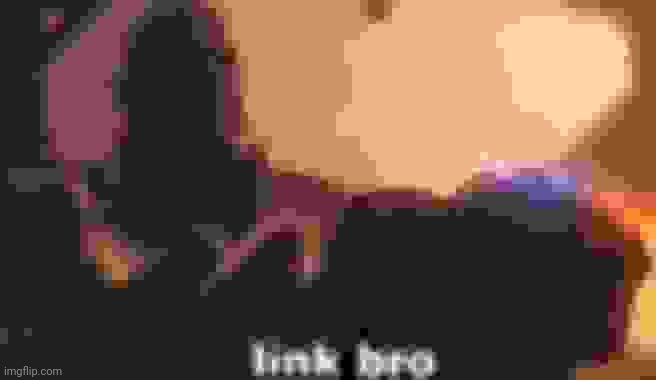 link bro | image tagged in link bro | made w/ Imgflip meme maker