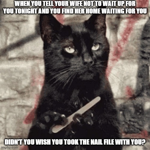 Jealousy | WHEN YOU TELL YOUR WIFE NOT TO WAIT UP FOR YOU TONIGHT AND YOU FIND HER HOME WAITING FOR YOU; DIDN'T YOU WISH YOU TOOK THE NAIL FILE WITH YOU? | image tagged in cats and dogs | made w/ Imgflip meme maker