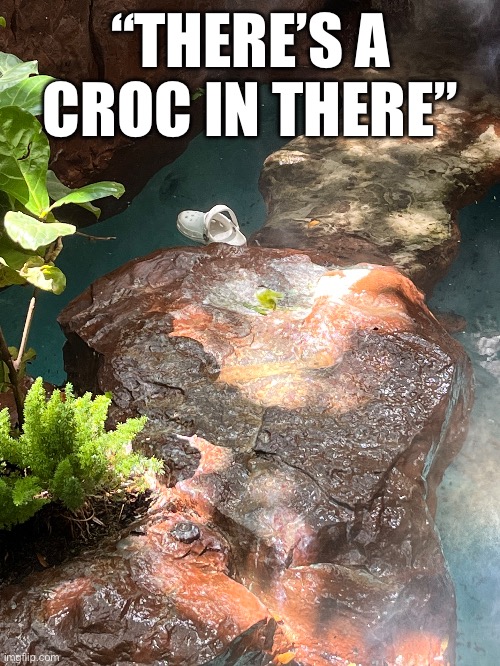 This was an actual exibit | “THERE’S A CROC IN THERE” | made w/ Imgflip meme maker