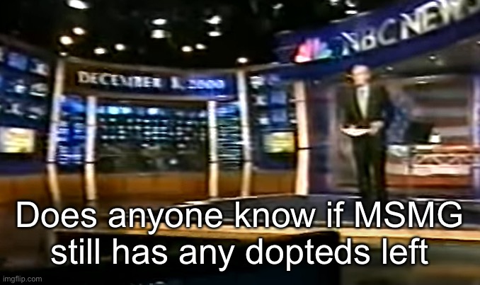 December 8, 2000 | Does anyone know if MSMG still has any dopteds left | image tagged in december 8 2000 | made w/ Imgflip meme maker