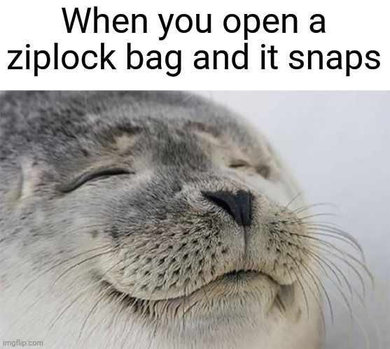 *snaps in satisfaction* | When you open a ziplock bag and it snaps | image tagged in memes,satisfied seal | made w/ Imgflip meme maker