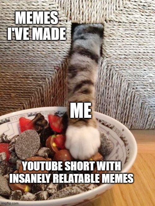It's like finding a 4-leaf clover XD and yes, I put them in the repost stream :P | MEMES I'VE MADE; ME; YOUTUBE SHORT WITH INSANELY RELATABLE MEMES | image tagged in cookie thief | made w/ Imgflip meme maker