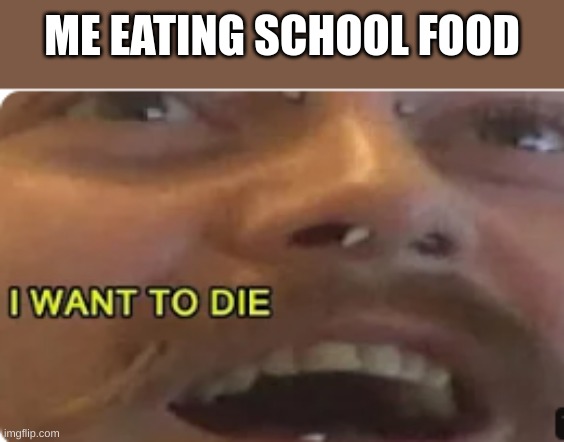 accurate | ME EATING SCHOOL FOOD | image tagged in i want to die,school food,memes,funny memes,fun stream,fonnay | made w/ Imgflip meme maker