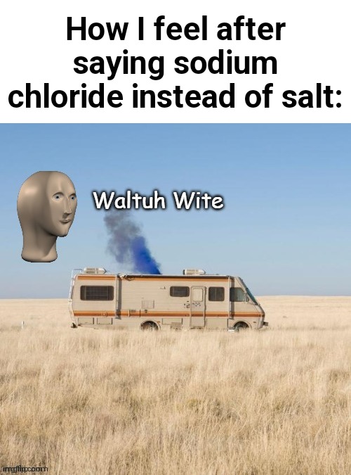Waltuh Wite | How I feel after saying sodium chloride instead of salt: | image tagged in waltuh wite,fun | made w/ Imgflip meme maker