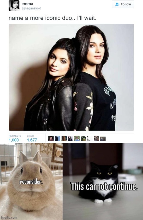 image tagged in name a more iconic duo | made w/ Imgflip meme maker
