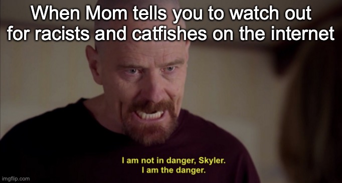 i am not in danger skyler i am the danger | When Mom tells you to watch out for racists and catfishes on the internet | image tagged in i am not in danger skyler i am the danger | made w/ Imgflip meme maker