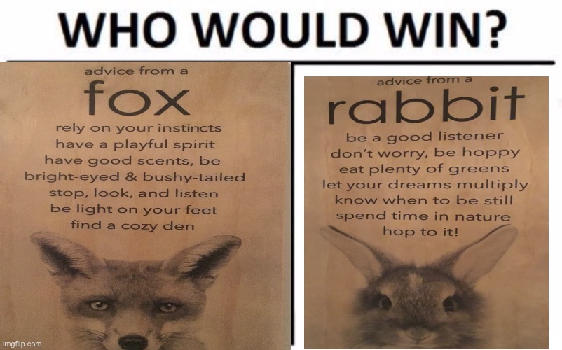 Who would win? | image tagged in who would win,rabbit,fox | made w/ Imgflip meme maker