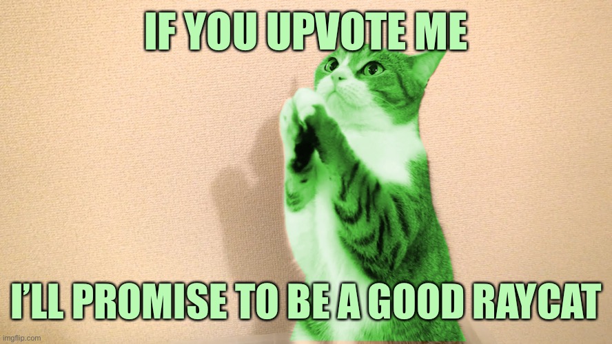 This is an agreement, not begging | IF YOU UPVOTE ME; I’LL PROMISE TO BE A GOOD RAYCAT | image tagged in raycat pray,memes | made w/ Imgflip meme maker