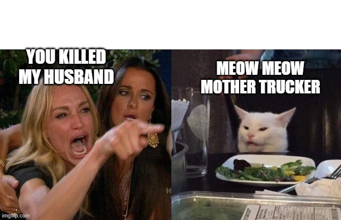 Woman Yelling At Cat Meme | YOU KILLED MY HUSBAND; MEOW MEOW MOTHER TRUCKER | image tagged in memes,woman yelling at cat | made w/ Imgflip meme maker