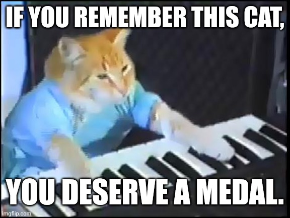 IF YOU REMEMBER THIS CAT, YOU DESERVE A MEDAL. | image tagged in memes | made w/ Imgflip meme maker