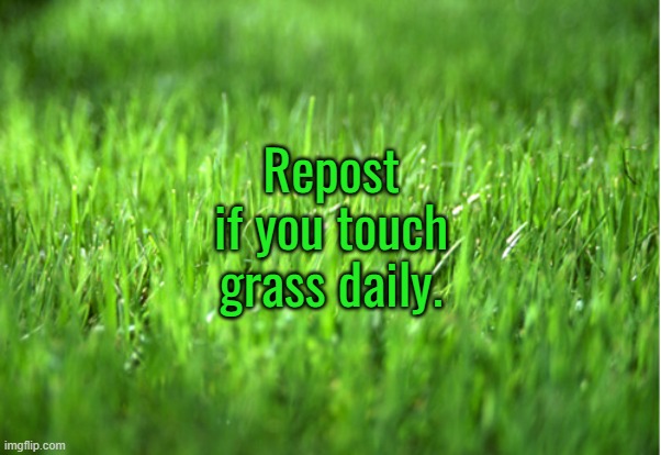 grass is greener | Repost if you touch grass daily. | image tagged in grass is greener | made w/ Imgflip meme maker