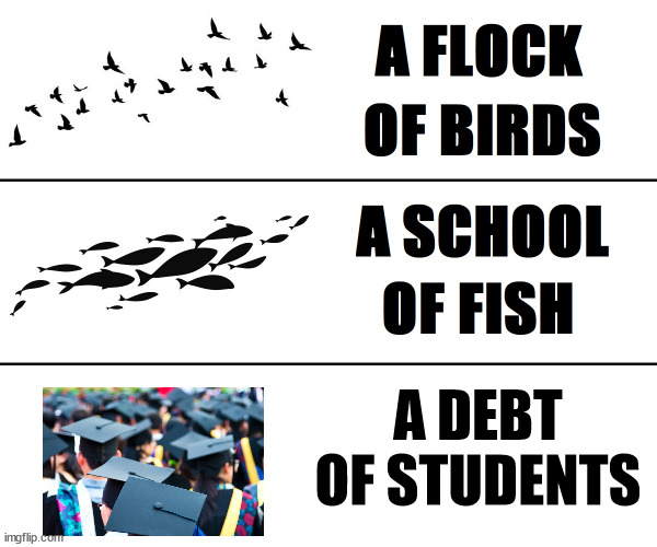 first in a series | A DEBT OF STUDENTS | image tagged in a blank of blank | made w/ Imgflip meme maker