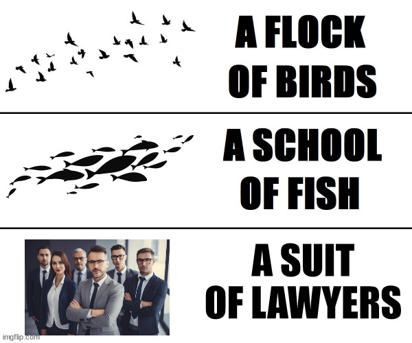 it's a stock photo, I'm not trying to get sued | A SUIT OF LAWYERS | image tagged in a blank of blank | made w/ Imgflip meme maker