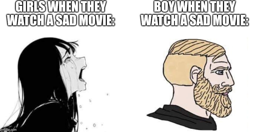 babe please | GIRLS WHEN THEY WATCH A SAD MOVIE:; BOY WHEN THEY WATCH A SAD MOVIE: | image tagged in babe please | made w/ Imgflip meme maker