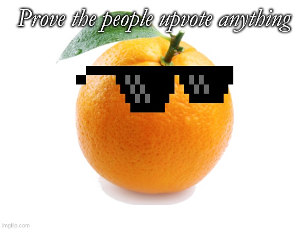 Orange | Prove the people upvote anything | image tagged in memes,funny memes,funny,fun,so true memes | made w/ Imgflip meme maker