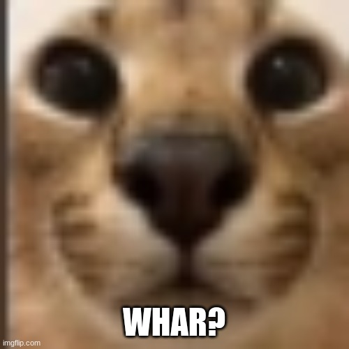 Whar | WHAR? | image tagged in whar | made w/ Imgflip meme maker