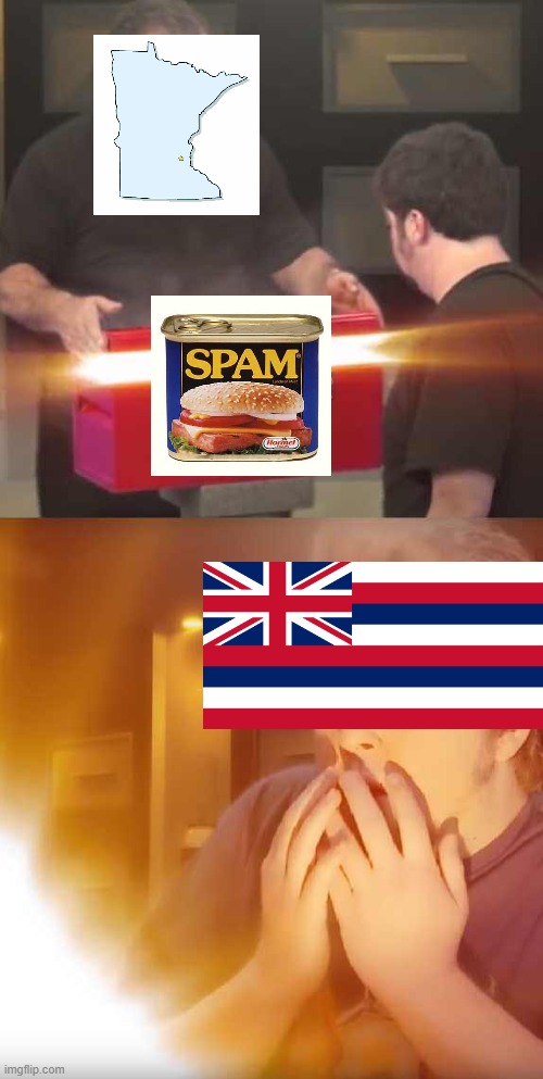 "this is the greatest thing i have ever eaten" | image tagged in jontron,memes,funny,so true memes,hawaii,spam | made w/ Imgflip meme maker