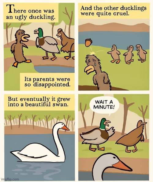 The beautiful swan | image tagged in the ugly duckling,the beautiful swan,ducks,duck,comics,comics/cartoons | made w/ Imgflip meme maker