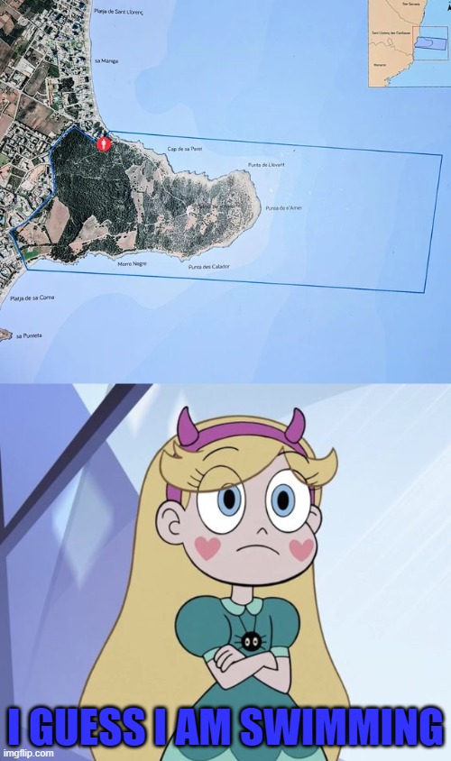 hmmm | I GUESS I AM SWIMMING | image tagged in star butterfly,you had one job,star vs the forces of evil,memes | made w/ Imgflip meme maker