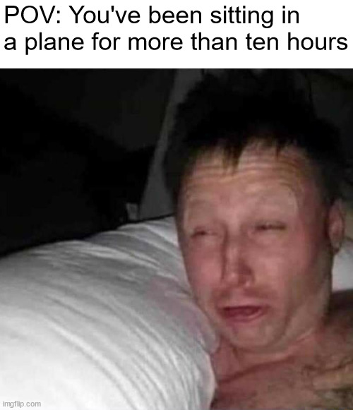 Sleepy guy | POV: You've been sitting in a plane for more than ten hours | image tagged in sleepy guy | made w/ Imgflip meme maker