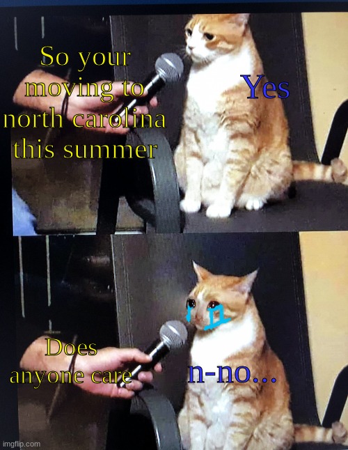 I h8 my classmates that don't care | Yes; So your moving to north carolina this summer; Does anyone care; n-no... | image tagged in cat interview crying | made w/ Imgflip meme maker