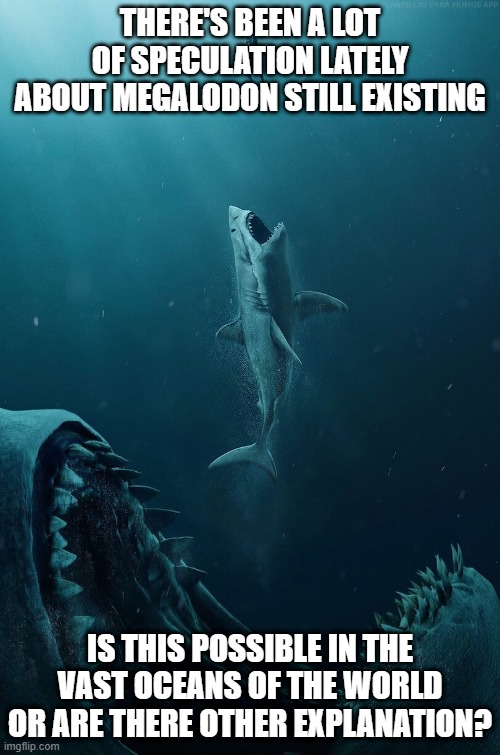 I'm Skeptical About Megalodon | THERE'S BEEN A LOT OF SPECULATION LATELY ABOUT MEGALODON STILL EXISTING; IS THIS POSSIBLE IN THE VAST OCEANS OF THE WORLD OR ARE THERE OTHER EXPLANATION? | image tagged in megalodon | made w/ Imgflip meme maker