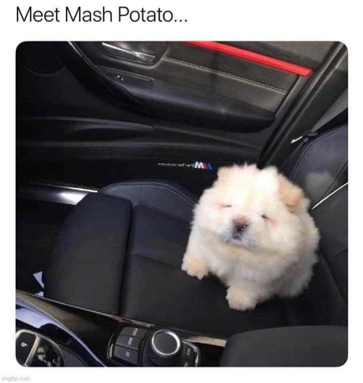 image tagged in memes | made w/ Imgflip meme maker