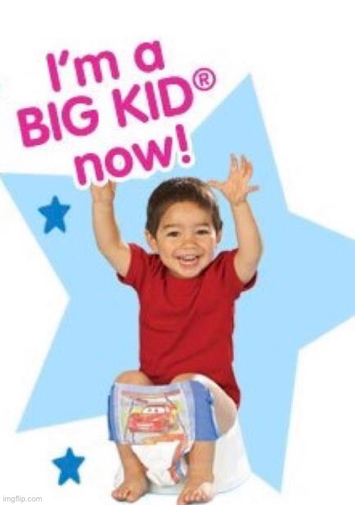 I'm a big kid now! | image tagged in i'm a big kid now | made w/ Imgflip meme maker