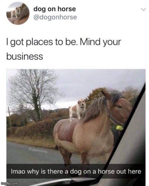 image tagged in memes | made w/ Imgflip meme maker
