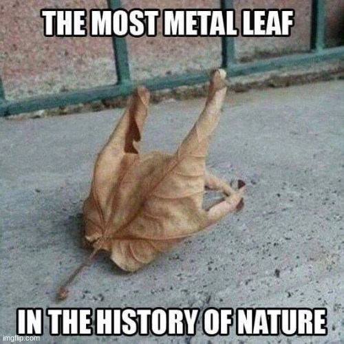 Horns up | image tagged in leaf,heavy metal,metal,horns,nature | made w/ Imgflip meme maker