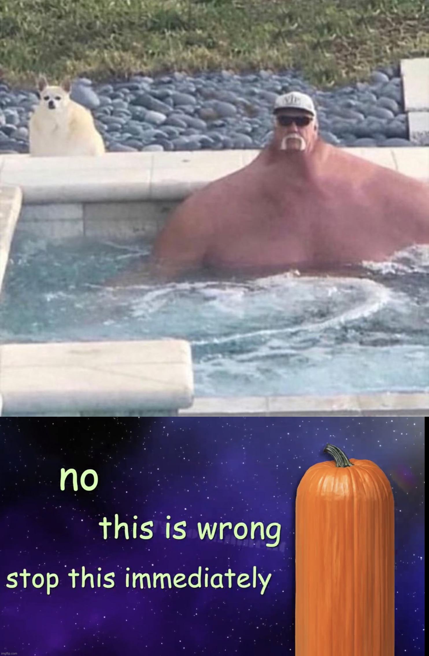 Wtf is this | image tagged in pumpkin facts,memes,funny,cursed image | made w/ Imgflip meme maker