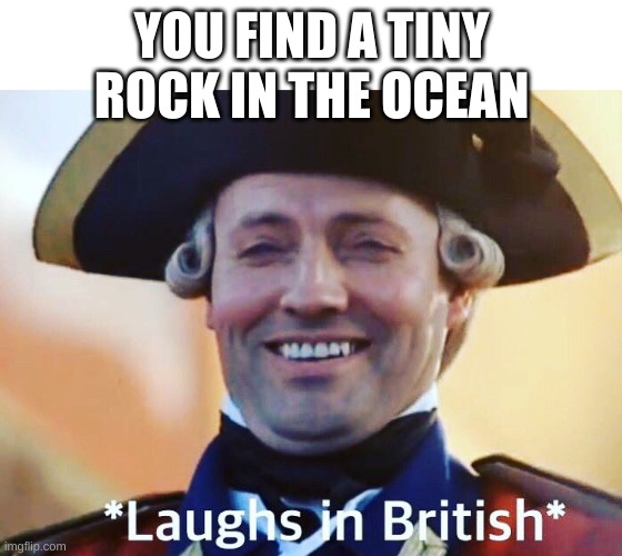 THE BRITS ARE HERE | YOU FIND A TINY ROCK IN THE OCEAN | image tagged in laughs in british | made w/ Imgflip meme maker