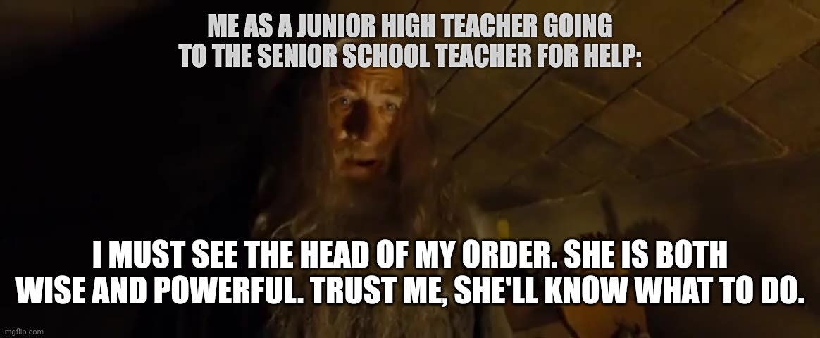 You know that teacher who looks after the senior school students and really knows their shit | ME AS A JUNIOR HIGH TEACHER GOING TO THE SENIOR SCHOOL TEACHER FOR HELP:; I MUST SEE THE HEAD OF MY ORDER. SHE IS BOTH WISE AND POWERFUL. TRUST ME, SHE'LL KNOW WHAT TO DO. | image tagged in gandalf i must see the head of my order,teaching,education,high school | made w/ Imgflip meme maker