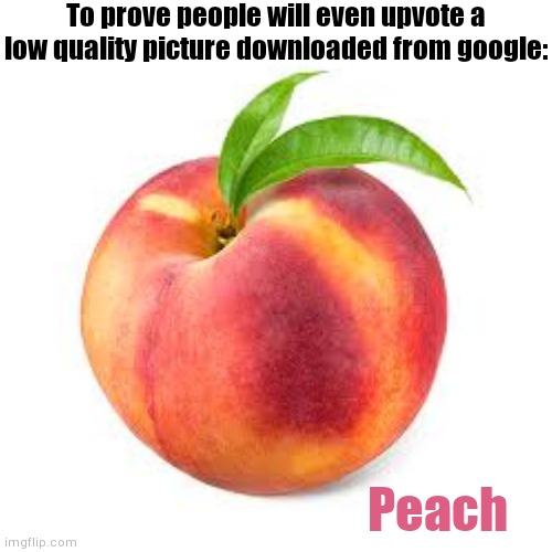Im sure | To prove people will even upvote a low quality picture downloaded from google:; Peach | image tagged in peach,fruit,random | made w/ Imgflip meme maker