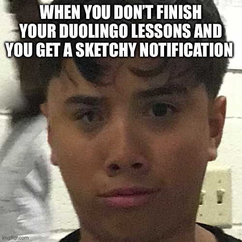 when the bird calls | WHEN YOU DON’T FINISH YOUR DUOLINGO LESSONS AND YOU GET A SKETCHY NOTIFICATION | image tagged in duolingo | made w/ Imgflip meme maker