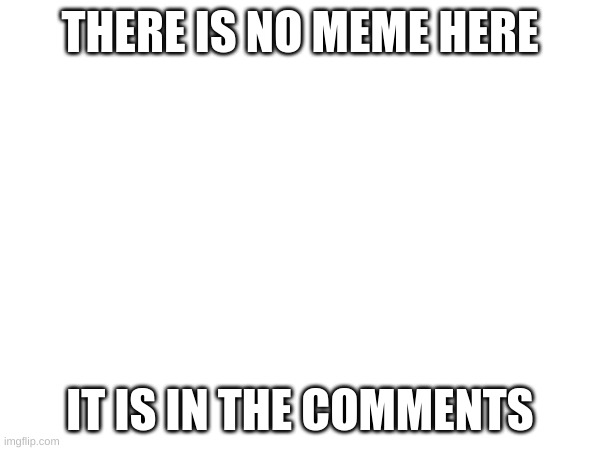 Meme in comments | THERE IS NO MEME HERE; IT IS IN THE COMMENTS | image tagged in no meme,comments | made w/ Imgflip meme maker