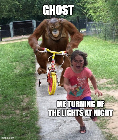 Orangutan chasing girl on a tricycle | GHOST; ME TURNING OF THE LIGHTS AT NIGHT | image tagged in orangutan chasing girl on a tricycle | made w/ Imgflip meme maker