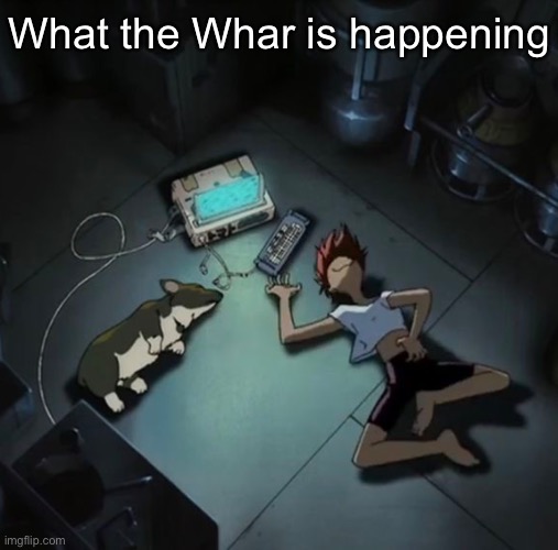 Edd and Ein | What the Whar is happening | image tagged in edd and ein | made w/ Imgflip meme maker
