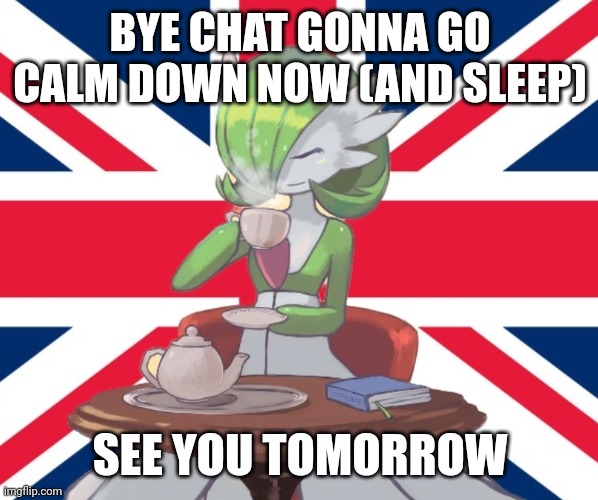 Gardi the Bri'ish | BYE CHAT GONNA GO CALM DOWN NOW (AND SLEEP); SEE YOU TOMORROW | image tagged in gardi the bri'ish | made w/ Imgflip meme maker