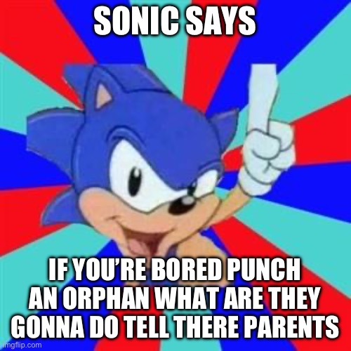 Sonic sez | SONIC SAYS; IF YOU’RE BORED PUNCH AN ORPHAN WHAT ARE THEY GONNA DO TELL THERE PARENTS | image tagged in sonic sez | made w/ Imgflip meme maker