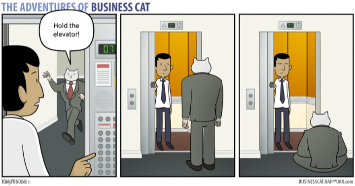 The Adventures of Business Cat #44 | made w/ Imgflip meme maker