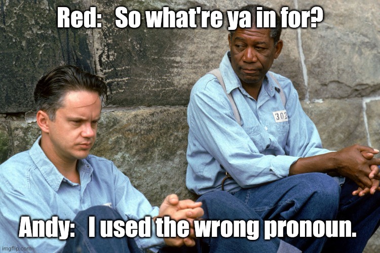 Using the wrong pronoun. | Red:   So what're ya in for? Andy:   I used the wrong pronoun. | image tagged in shawshank | made w/ Imgflip meme maker