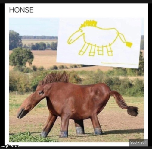 honse | image tagged in honse | made w/ Imgflip meme maker