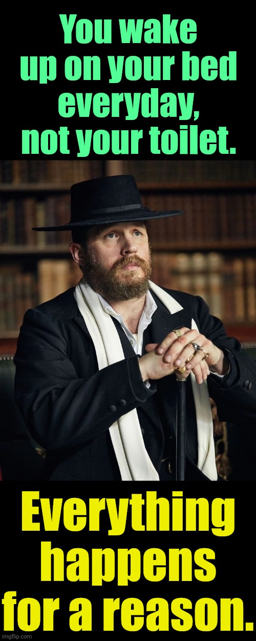 . | You wake up on your bed everyday, not your toilet. Everything happens for a reason. | image tagged in alfie solomons,trust the system | made w/ Imgflip meme maker